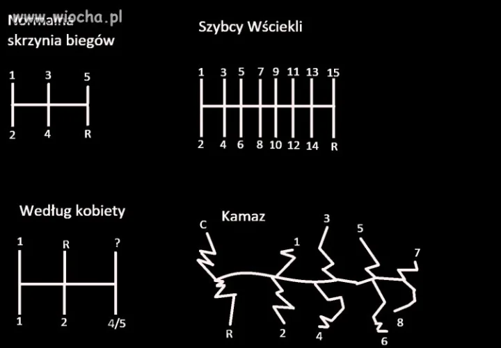 Zamiast polityki