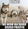 Dobry kamuflaż