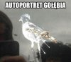 Prawdziwe arcydzieło