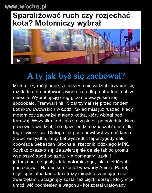 Brawo dla motorniczego.