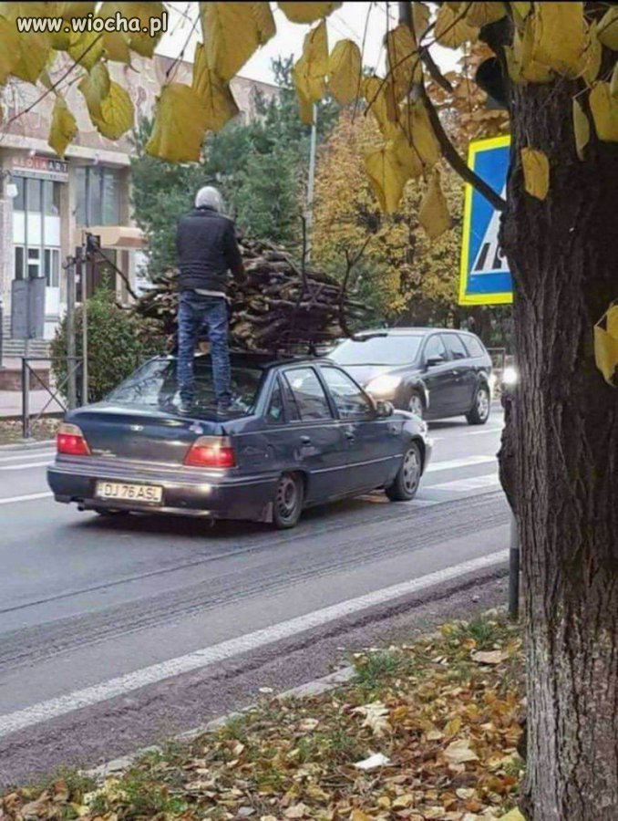Idzie sroga zima.