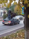 Idzie sroga zima.