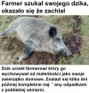 Piękna historia