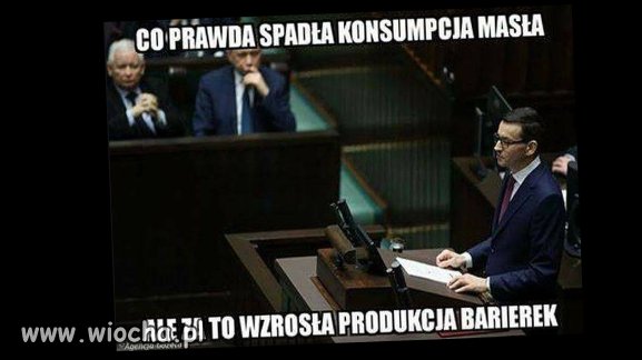 Towarzysze i towarzyszki...
