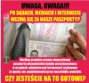 A to wszystko