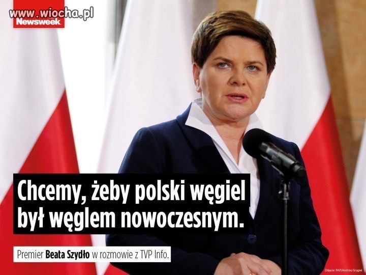 Pewnie go zachipują
