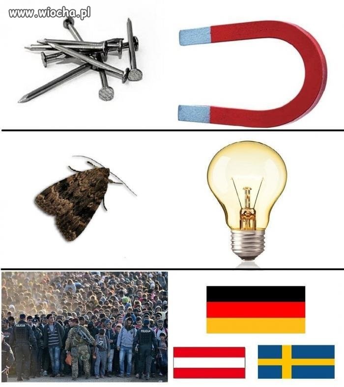 My przyciągamy Ukraińców