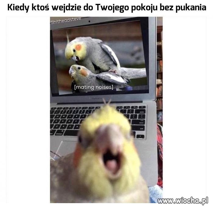 Mogę to wyjaśnić!