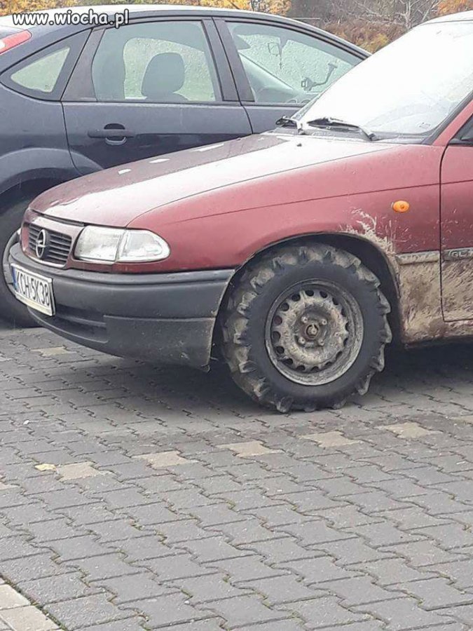 On się zimy nie boi