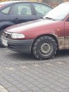 On się zimy nie boi