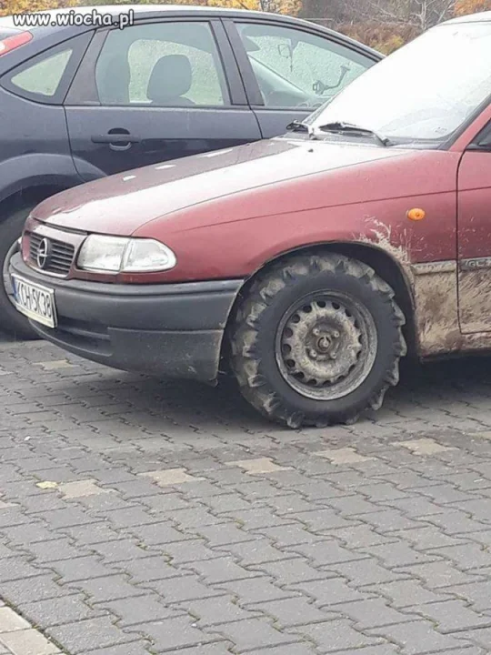 On się zimy nie boi