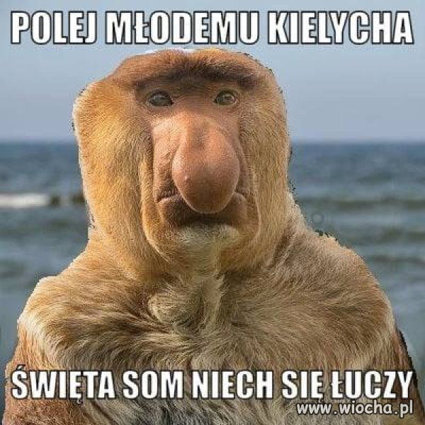 Kiedy młody umie...