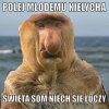 Kiedy młody umie...