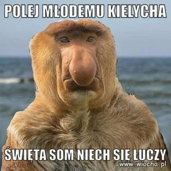 Kiedy młody umie...