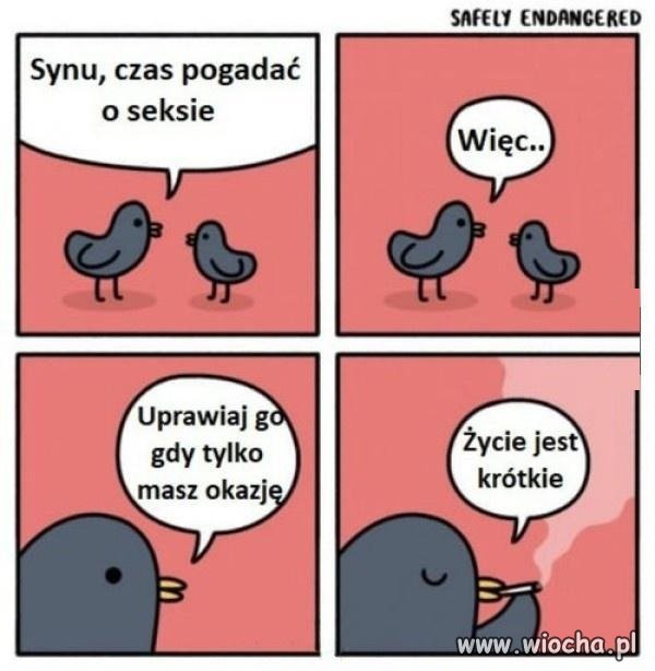 Tata wie, co mówi