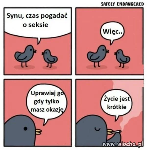 Tata wie, co mówi