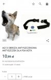 Dla kota?! 