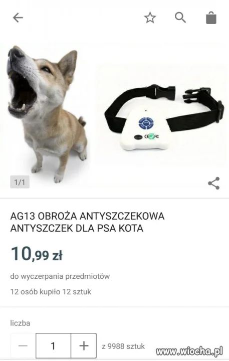 Dla kota?! 