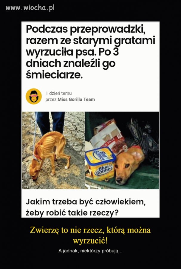 Bez komentarza