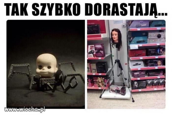 Aż się łezka w oku kręci