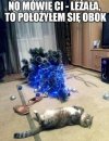 No tak było, nie zmyślam