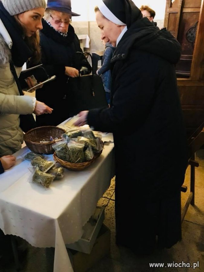 Wreszcie legalnie można kupić zioło !!!