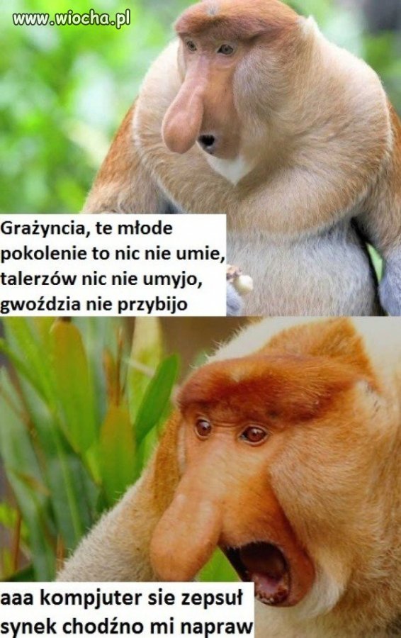 Młode pokolenie