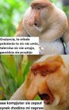 Młode pokolenie
