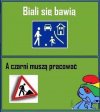 Mądrości