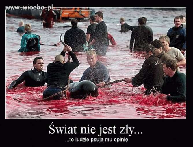Niestety