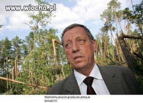 Jeszcze i to wytnie