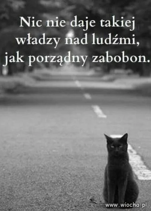 Coś w tym jest!