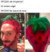 Wygląda jak Świeżak