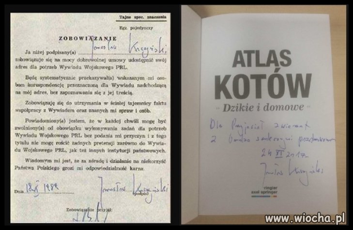 Prezent na święta,lojalka Jarka