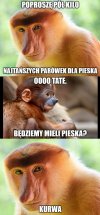 Się wydało