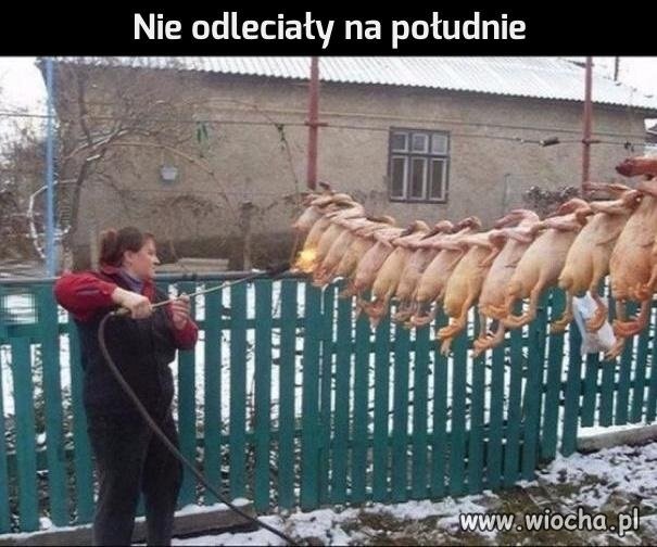 Nie zdążyły