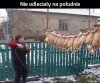 Nie zdążyły