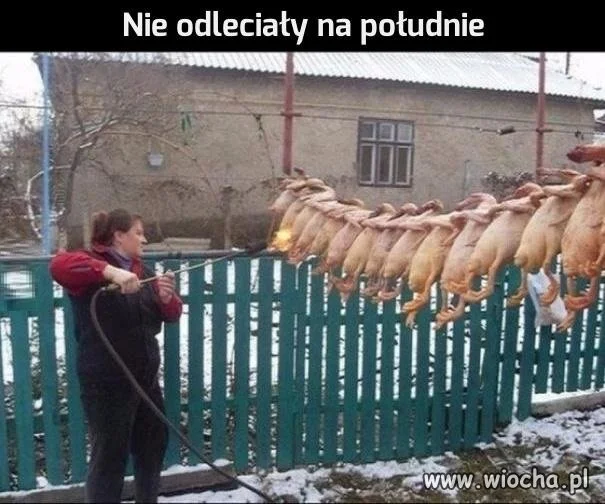 Nie zdążyły