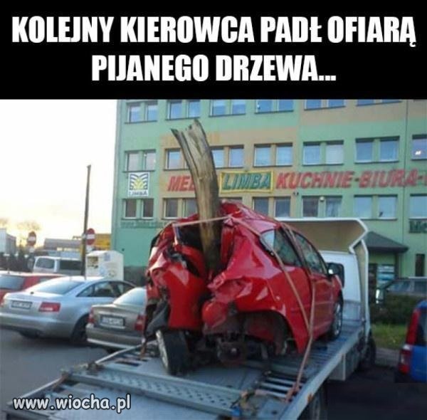 Stop pijanym drzewom