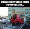 Stop pijanym drzewom