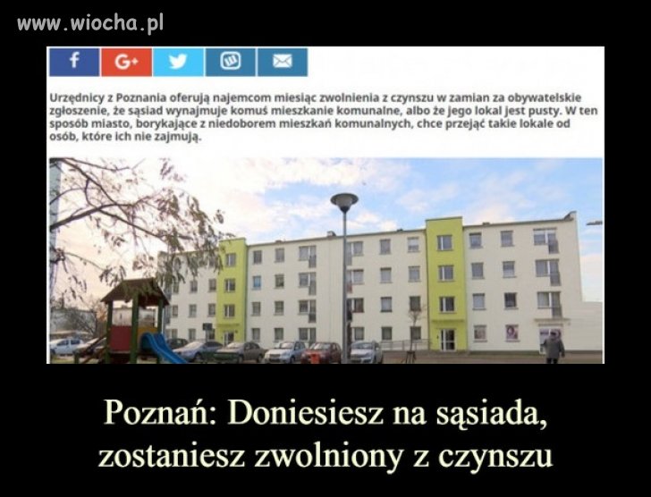 Uprzejmie aczkolwiek z obrzydzeniem donoszę