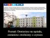 Uprzejmie aczkolwiek z obrzydzeniem donoszę