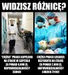 Coś jest 