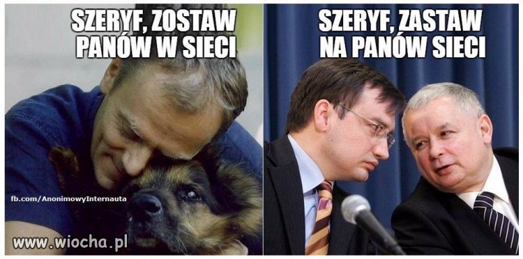 Szeryf
