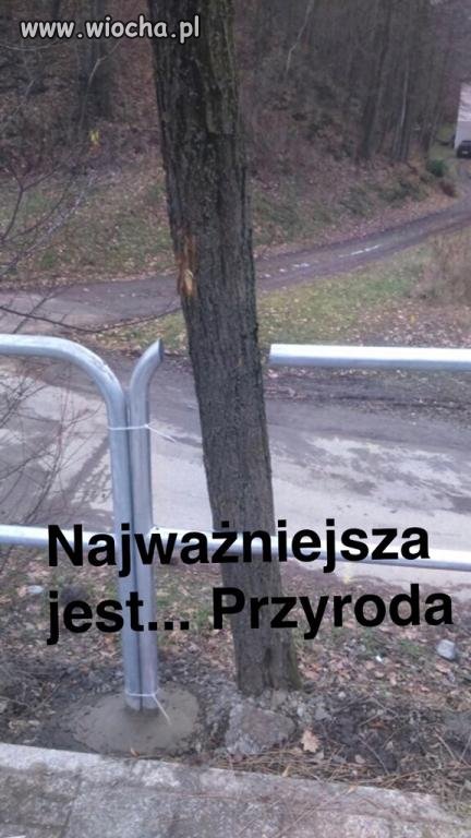 Pomysły drogowców 