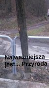 Pomysły drogowców 
