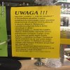 Żabka :)