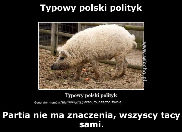 Typowy polski polityk