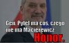 Każdy rozumiejący Polak 