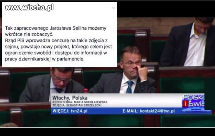 Pomysł Krystyny Pawłowicz